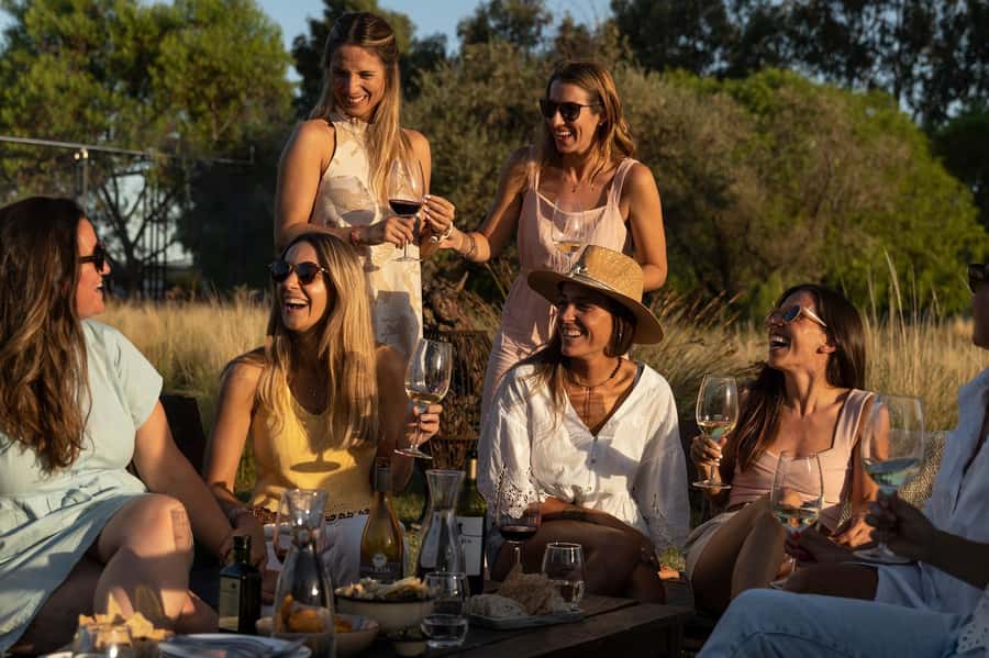 Mendoza: Wine Tasting Tour with Lunch and Private Transport - The Andes views are part of the experience