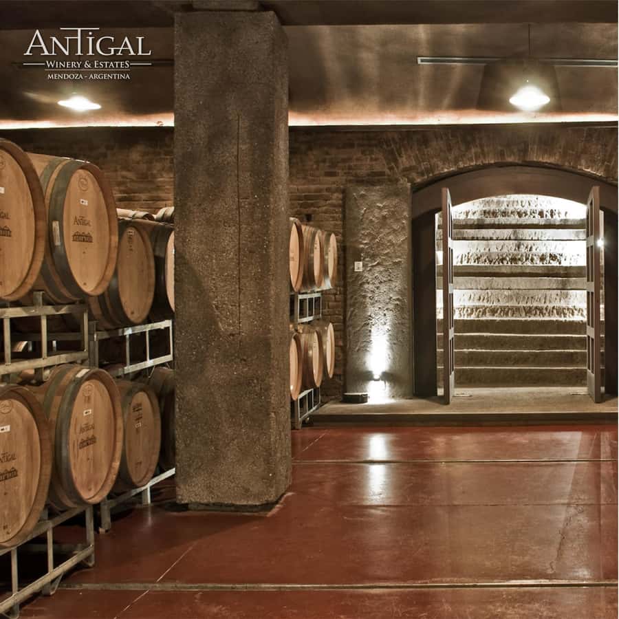 Mendoza: Wine Tasting Tour with Lunch and Private Transport - Is $220 a fair price?
