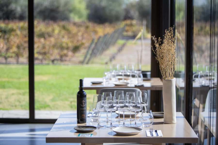 Mendoza: Wine Tasting Tour with Lunch and Private Transport - Carinae, Santa Julia, and the appeal of familiar names