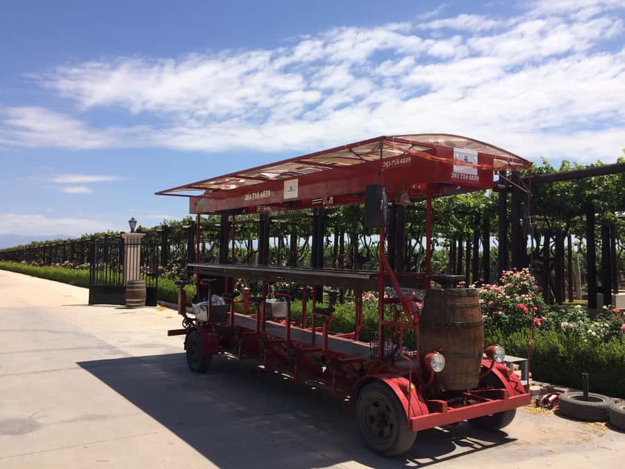 Mendoza: Winebike Tasting Tour with Optional Lunch - Key points at a glance