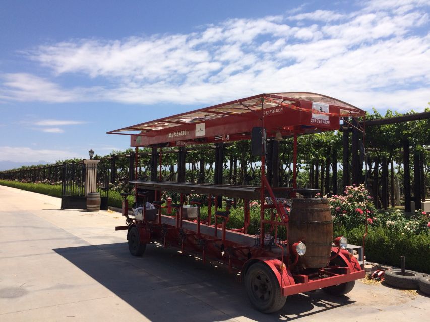 Mendoza: Winebike Tasting Tour with Optional Lunch - What the $100 price gets you