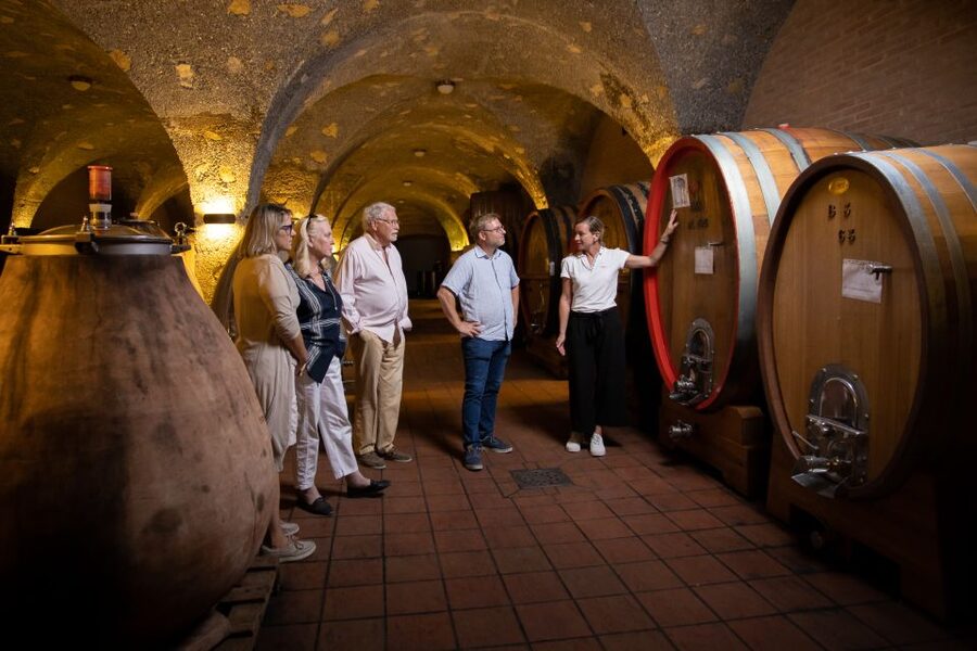 Montalcino: Guided Winery Tour & Gourmet Food Tasting - The guides make the difference