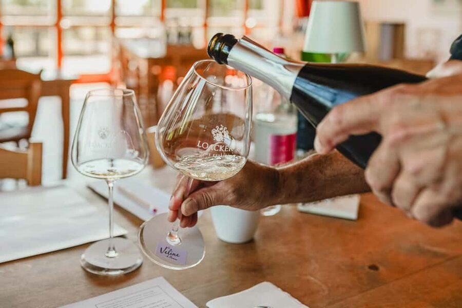 Montalcino: Guided Winery Tour & Gourmet Food Tasting - Getting to Corte Pavone Winery