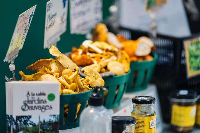 Montreal: Jean-Talon Market & Beyond Locally Owned Food Tour - Little Italy, coffee, and chocolate
