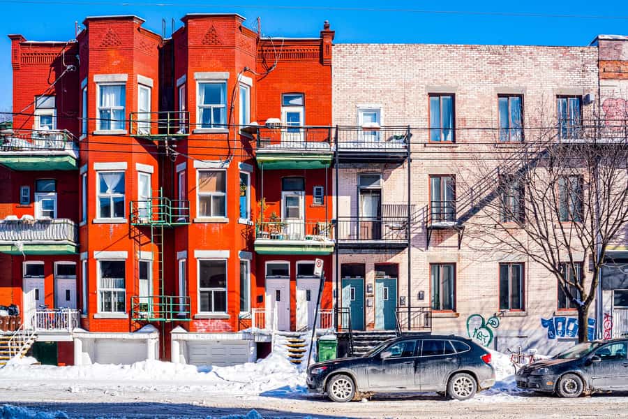 Montreal: Mile End District Food Tour with 8+ Tastings - How Much Food Do You Actually Get?