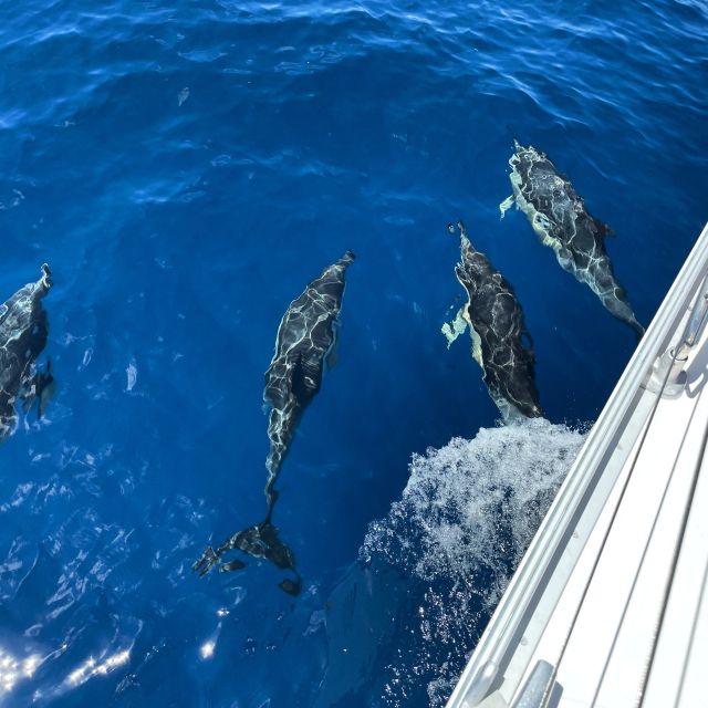 Morro Jable: Sailing Boat Excursion with Food and Drinks - Key points to know before booking