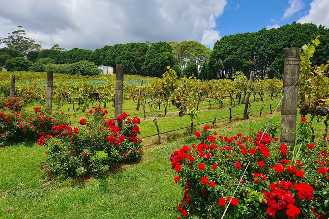 Mount Tamborine Wine Tasting Tour from Brisbane or the Gold Coast - The first winery sets the tone