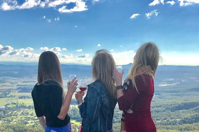 Mount Tamborine Wine Tasting Tour from Brisbane or the Gold Coast - Lunch with mountain views