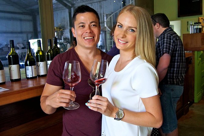Mount Tamborine Wine Tasting Tour from Brisbane or the Gold Coast - A scenic outing, not a serious wine course