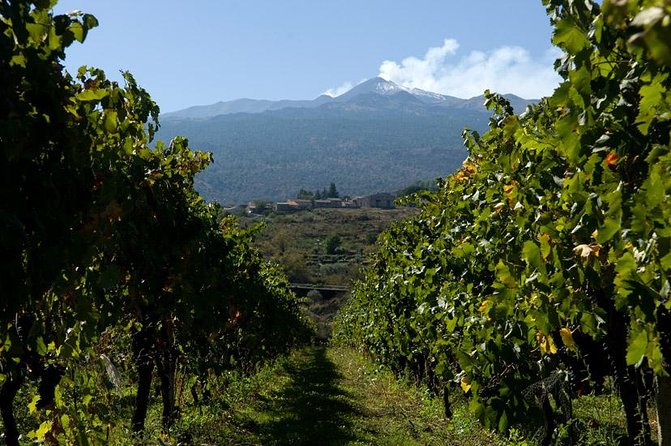 Mt Etna and Wine tasting tour from Catania - Who should book this Etna day trip