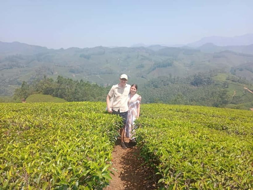 Munnar: Tea trail, Tea Factory, and Tea Tasting Tour - Why this Munnar tea tour works