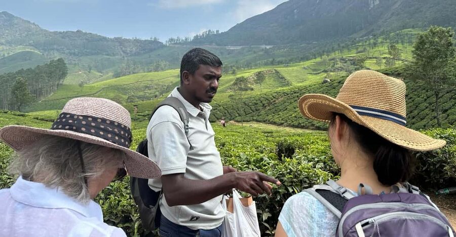 Munnar: Tea trail, Tea Factory, and Tea Tasting Tour - Is the three-hour length enough?