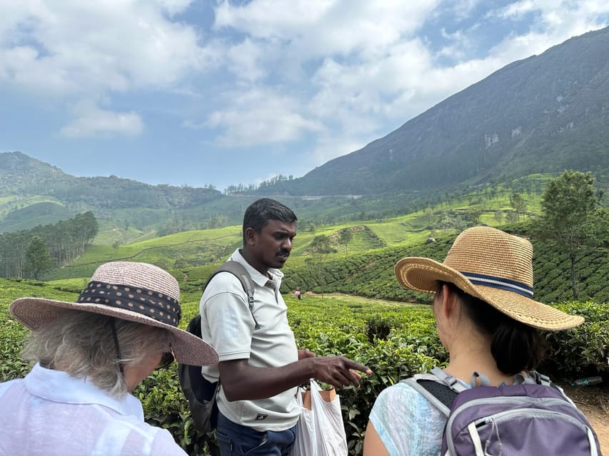 Munnar: Tea trail, Tea Factory, and Tea Tasting Tour - Who should book this experience?