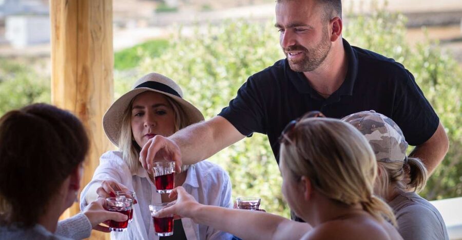 Mykonos: Winery Vineyard Experience with Food & Wine Tasting - Key points to know before booking