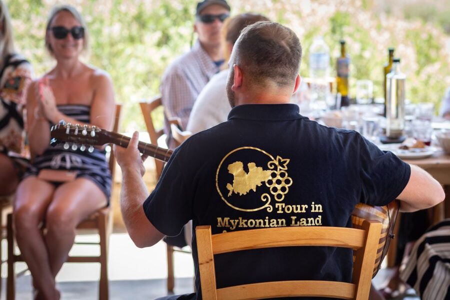 Mykonos: Winery Vineyard Experience with Food & Wine Tasting - The food and wine tasting