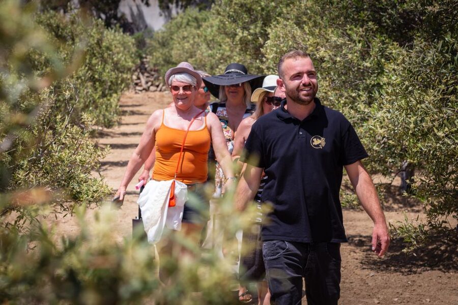 Mykonos: Winery Vineyard Experience with Food & Wine Tasting - Traditional Greek music during the tasting