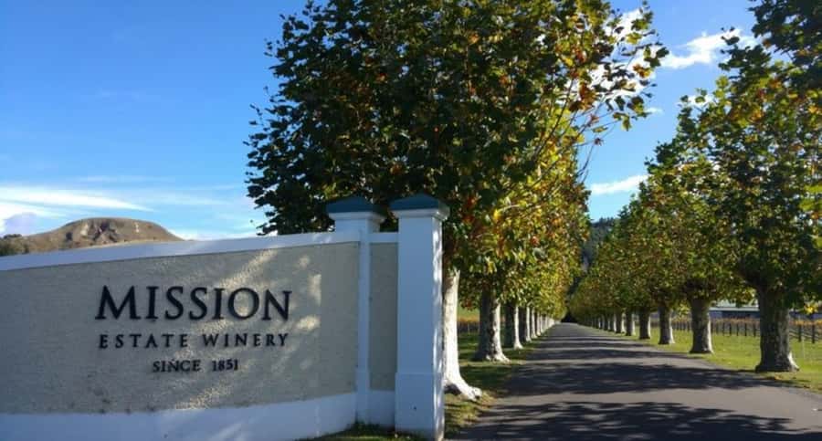 Napier: Afternoon Winery & Gin Tasting Tour Thu Fri Sat - Five gins inside the National Tobacco Building