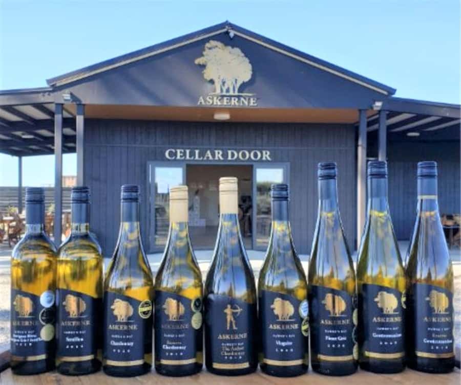 Napier: Afternoon Winery & Gin Tasting Tour Thu Fri Sat - How much wine and gin will you taste?