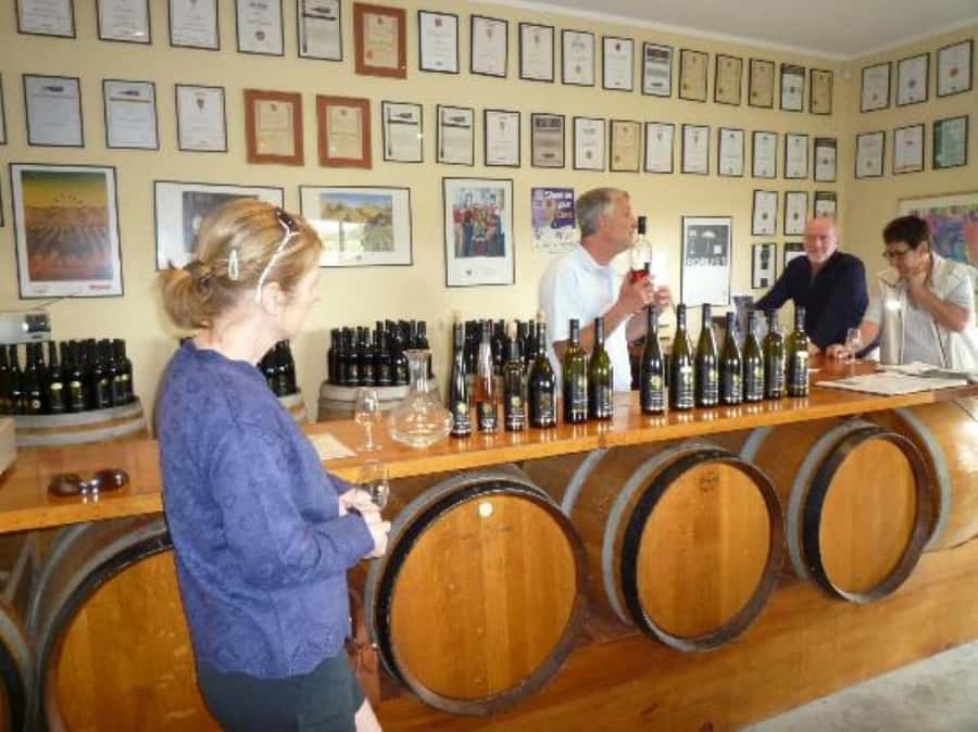 Napier: Afternoon Winery & Gin Tasting Tour Thu Fri Sat - Who will enjoy this tour most?