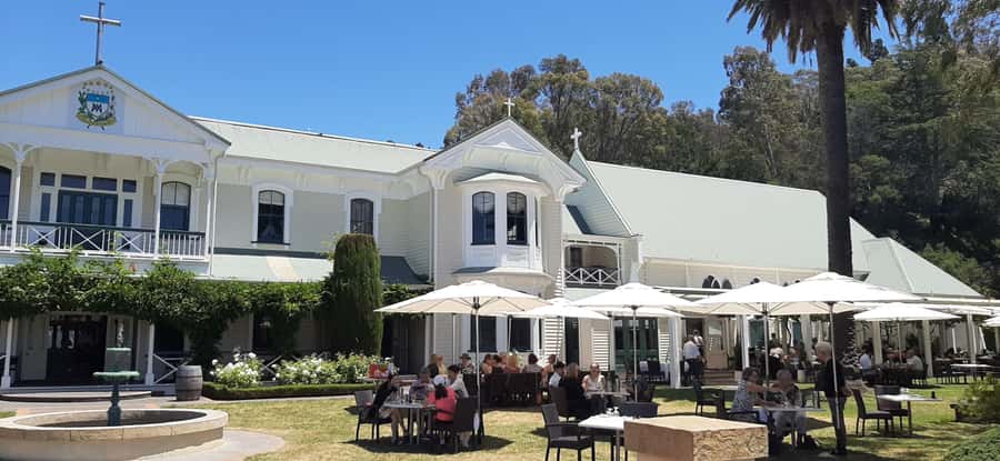 Napier: Afternoon Winery & Gin Tasting Tour Thu Fri Sat - Mission Estate and the Hawke’s Bay wine story