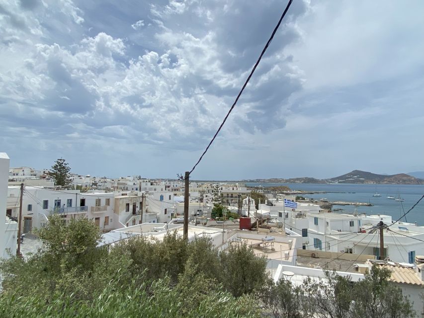 Naxos: Food Walking Tour & Cooking Class with Meal & Drinks - Key points to know before booking
