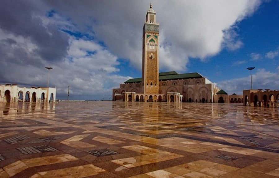 Night Tour of Casablanca with Street Food Tasting - The guides are central to the experience
