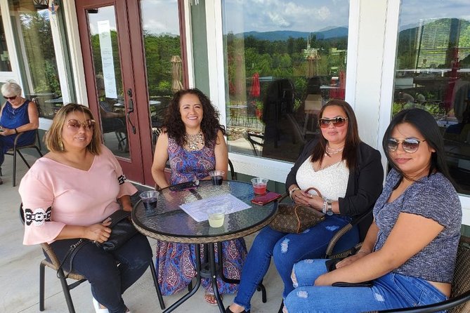 North Georgia Mountains TWO Vineyard Wine Tasting Tour - Value, Timing, and Booking Conditions