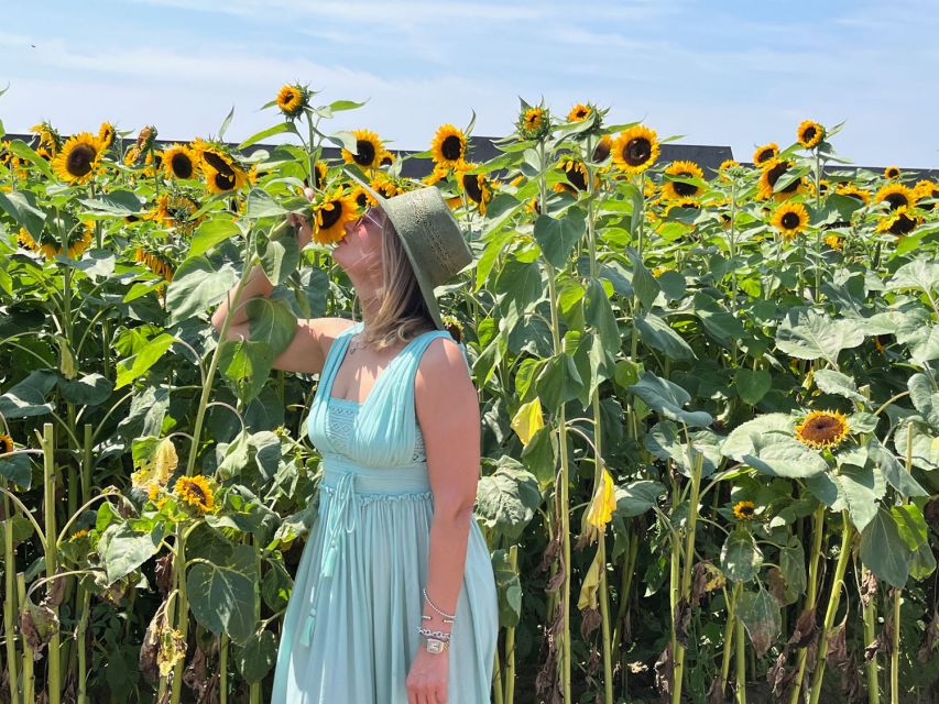 NYC: Long Island Sommelier-Guided Wine Tasting Tour - Should you book it?