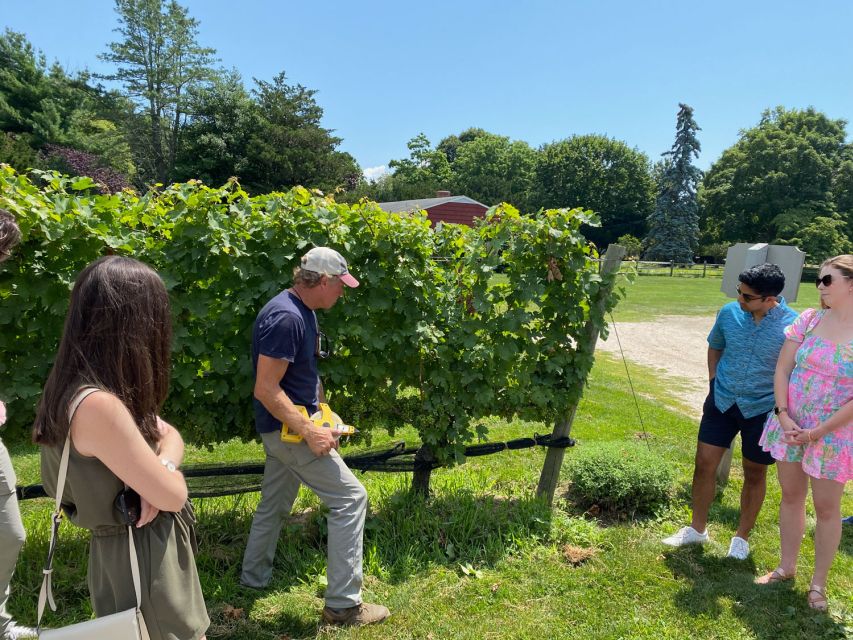 NYC: Long Island Sommelier-Guided Wine Tasting Tour - The first winery: time to taste and ask questions