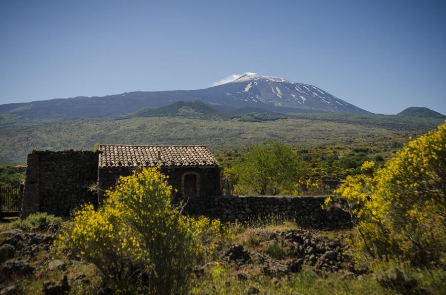 Old Sicily and Etna wine tasting tour from Taormina - Why this Mount Etna day trip works well from Taormina