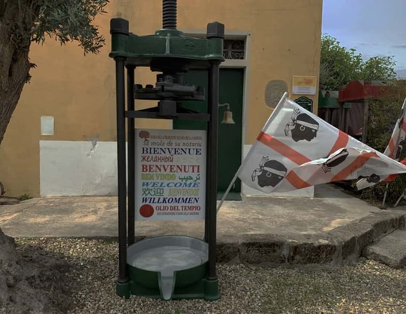 Olive Oil Museum: Extravirgin school - Food & wine tasting - Key points to know before booking