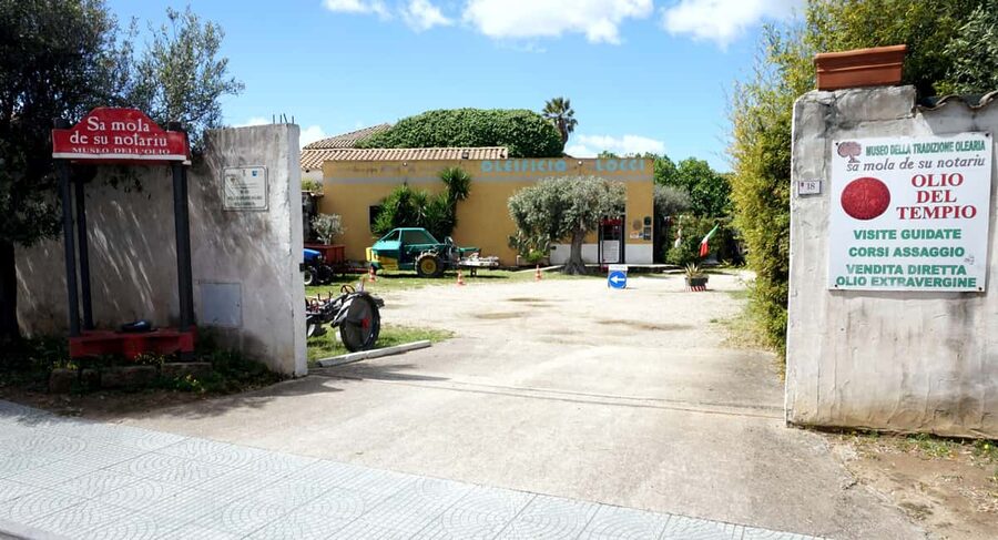 Olive Oil Museum: Extravirgin school - Food & wine tasting - Why an oil mill makes a good Sardinian food stop