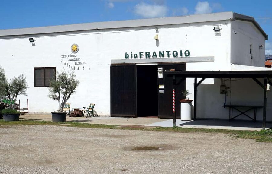 Olive Oil Museum: Extravirgin school - Food & wine tasting - Sa mola de su notariu and the underground cistern