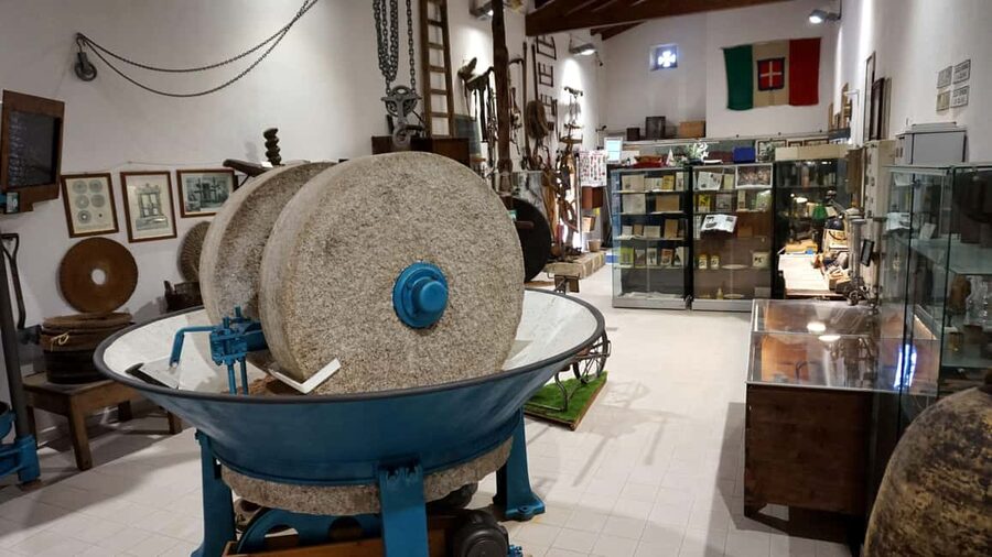 Olive Oil Museum: Extravirgin school - Food & wine tasting - What the one-hour schedule feels like