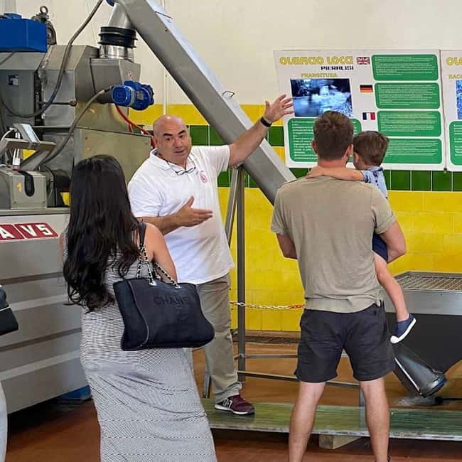 Olive Oil Museum: Extravirgin school - Food & wine tasting - Who will enjoy this experience most?