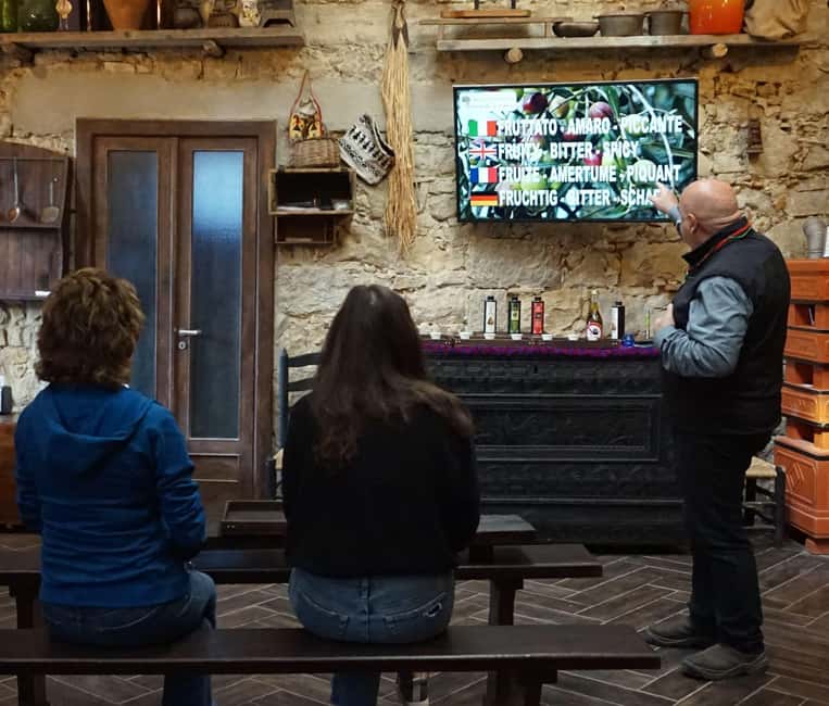 Olive Oil Museum: Extravirgin school - Food & wine tasting - The modern mill: from harvest to bottle