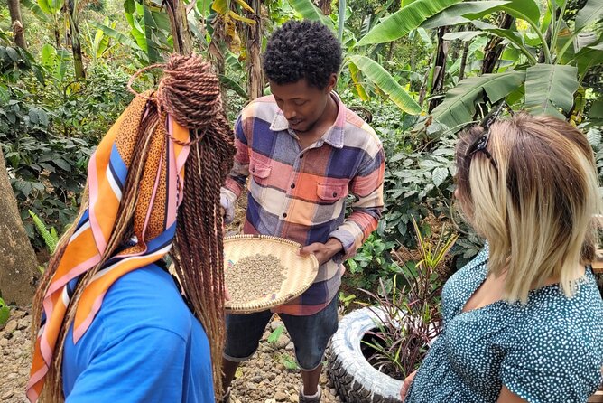 Organic Coffee Tour and Local Food Experience in Arusha - Your final coffee in the treehouse