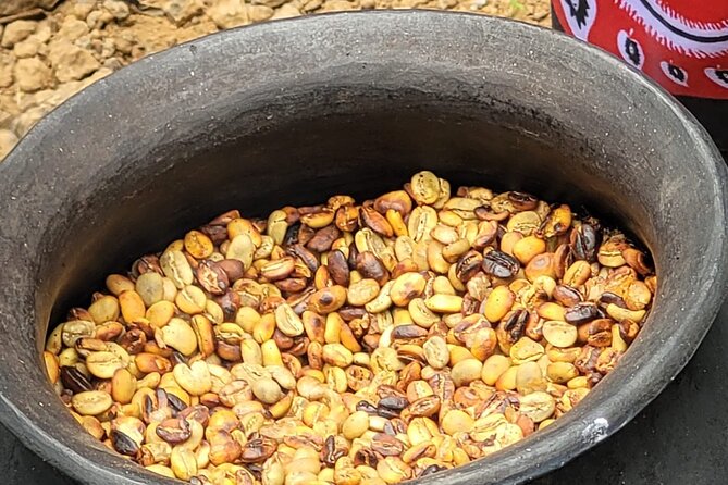 Organic Coffee Tour and Local Food Experience in Arusha - Handpicking beans near Mount Meru