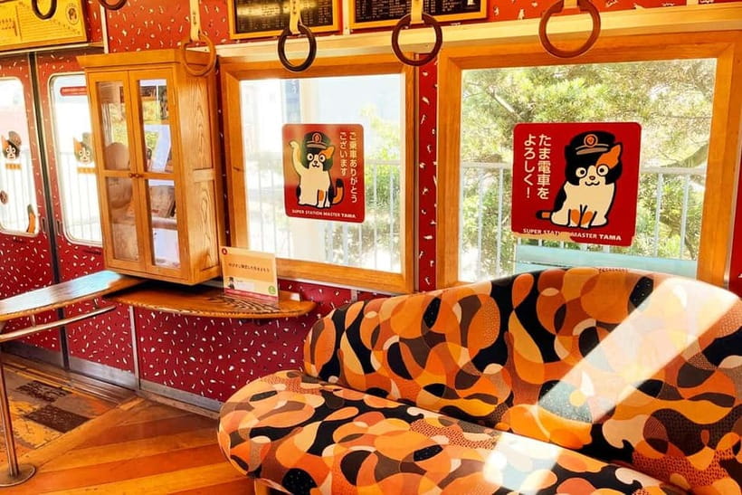 Osaka: Wakayama Cat Train, Seafood market, Hot Springs Tour - Key points to know before you book