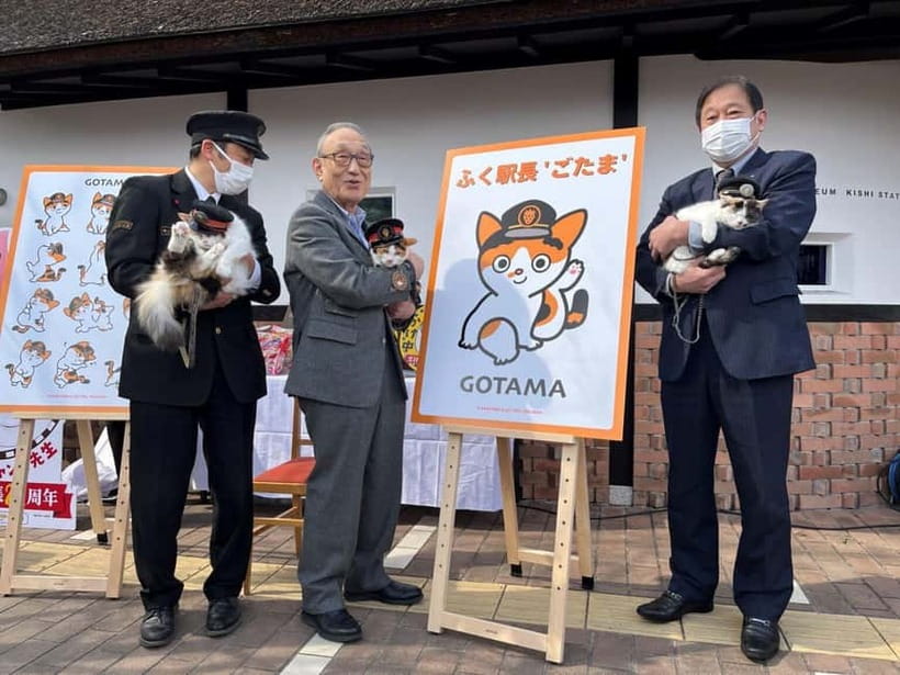 Osaka: Wakayama Cat Train, Seafood market, Hot Springs Tour - Why this Osaka day trip works