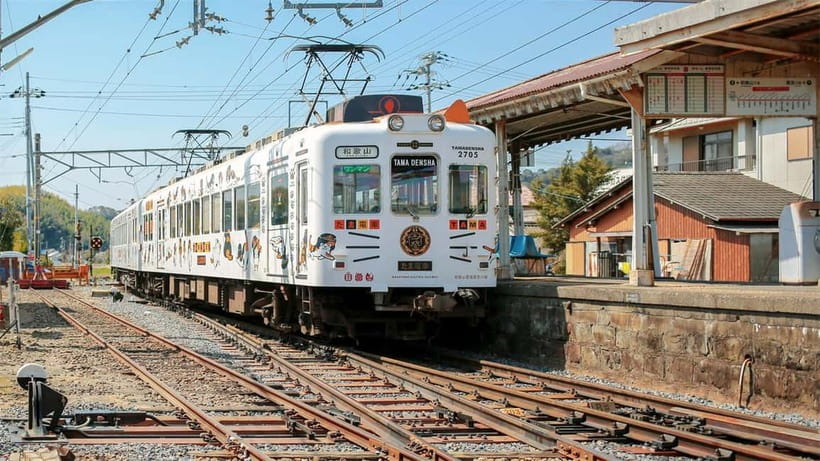 Osaka: Wakayama Cat Train, Seafood market, Hot Springs Tour - Kishi Station and the story of Tama