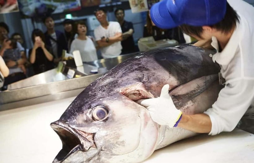 Osaka: Wakayama Cat Train, Seafood market, Hot Springs Tour - ToreTore Market and the tuna show