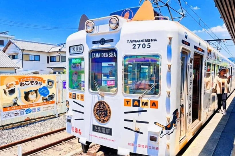 Osaka: Wakayama Cat Train, Seafood market, Hot Springs Tour - Meeting the group in Nipponbashi