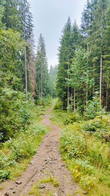 Oslo’s Secret Forest Gastronomy: Private Chef & Local Feast - Making a Norwegian rømme waffle