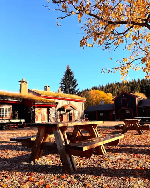 Oslo’s Secret Forest Gastronomy: Private Chef & Local Feast - How the weather changes the experience