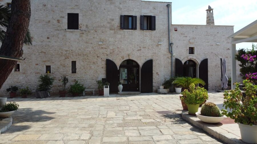 Ostuni: Olive Oil Tasting Tour - Seeing the 19th-century epigean mill