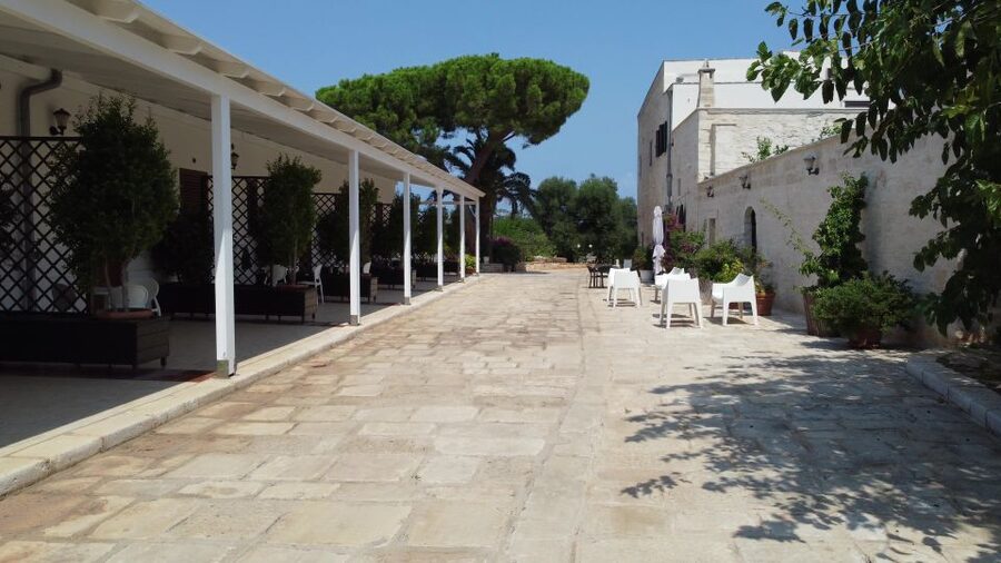 Ostuni: Olive Oil Tasting Tour - Tasting three oils with simple local foods