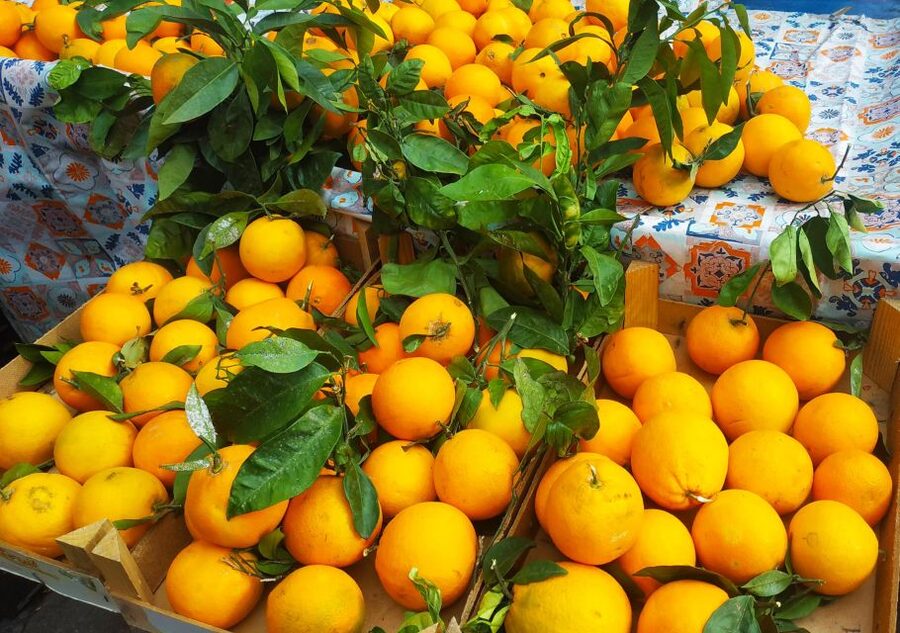 Palermo: Street Food Walking Tour with Local Guide & Tasting - Key points at a glance