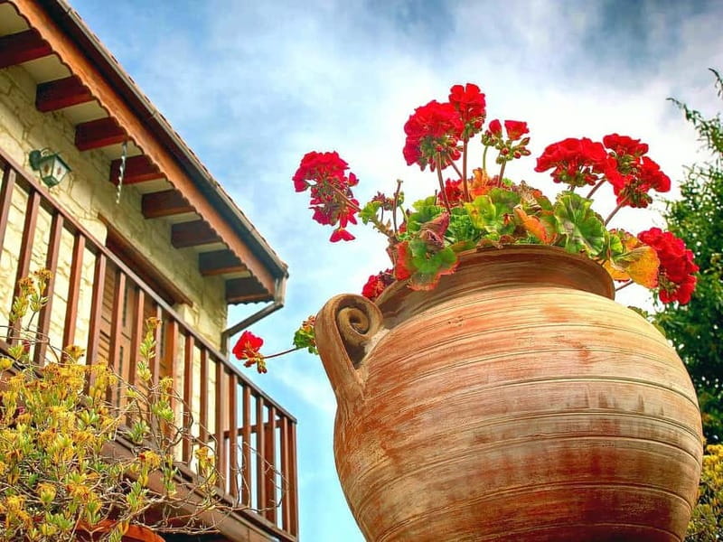 Paphos: Gourmet Cyprus Tour – Local Flavors & Wine - Niki Sweets and Kafkalia: small producers, big flavors