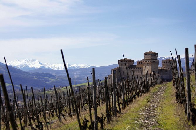 Parma Food Valley Gourmet Private Tour Easy - What the guides add to the experience